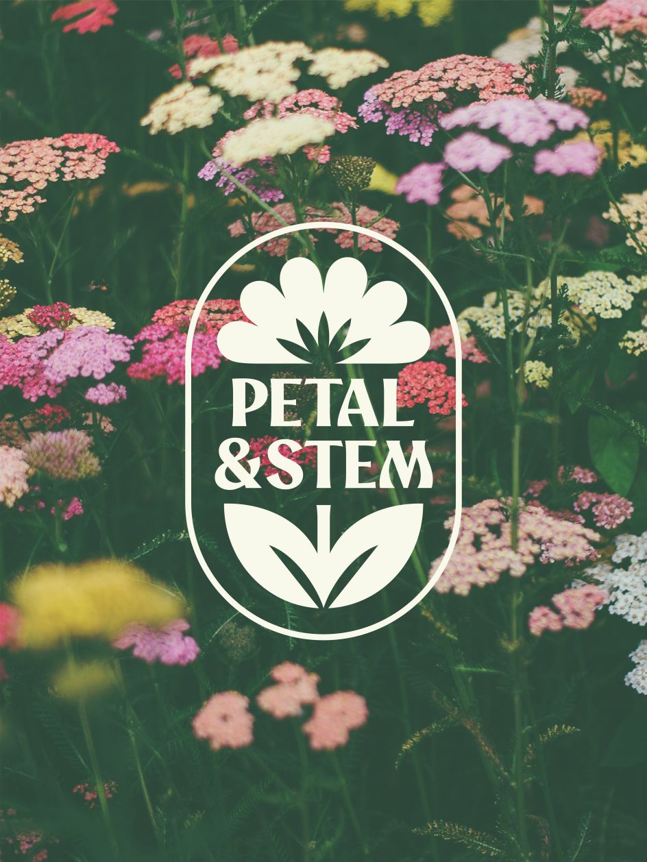 Propuesta de Laura Sásdi